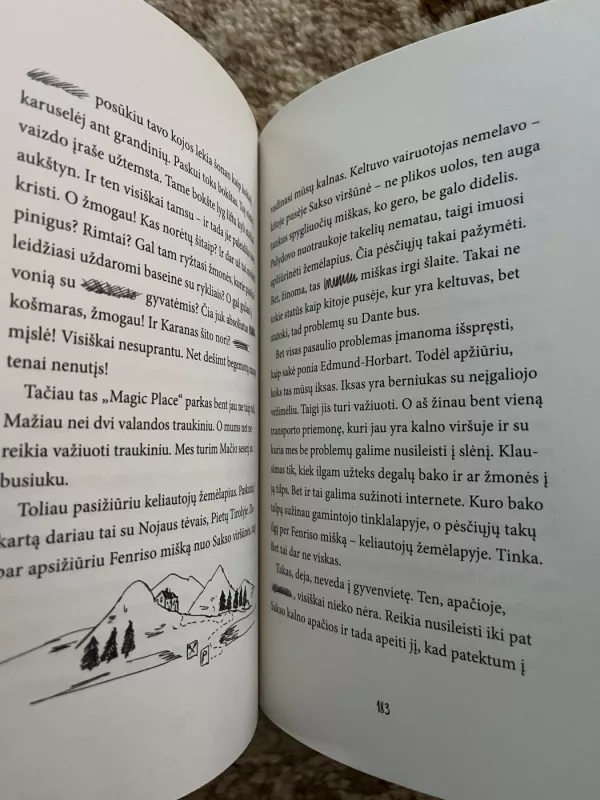 Aš ir nevykėliai Gyvenimas - skaičiavimo klaida - Vanessa Walder, knyga 4