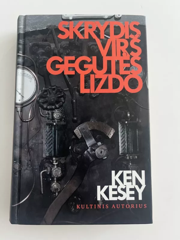 Skrydis virš gegutės lizdo - Ken Kesey, knyga 2