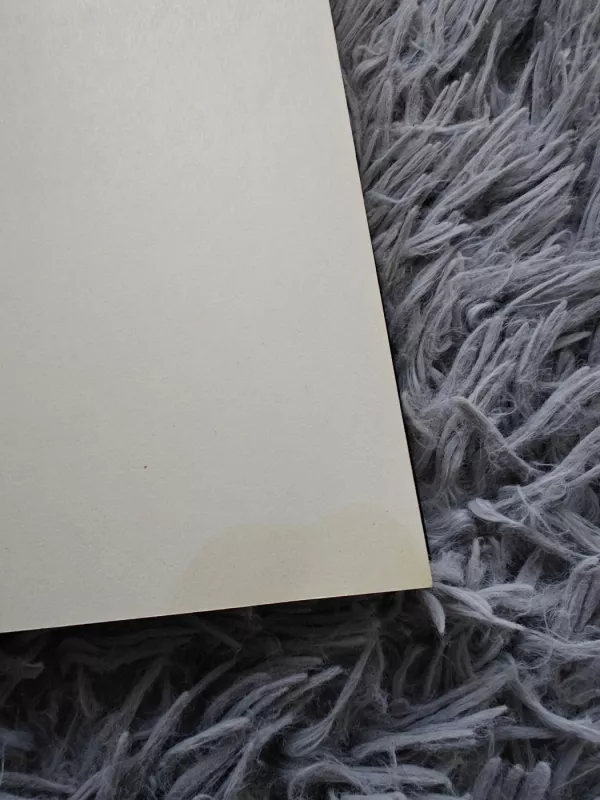 Virsmas - Autorių Kolektyvas, knyga 4