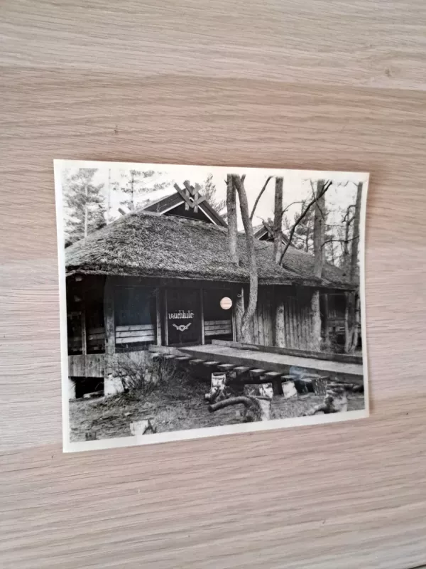 Popierinė plokštelė/atvirukas - -, plokštelė 2