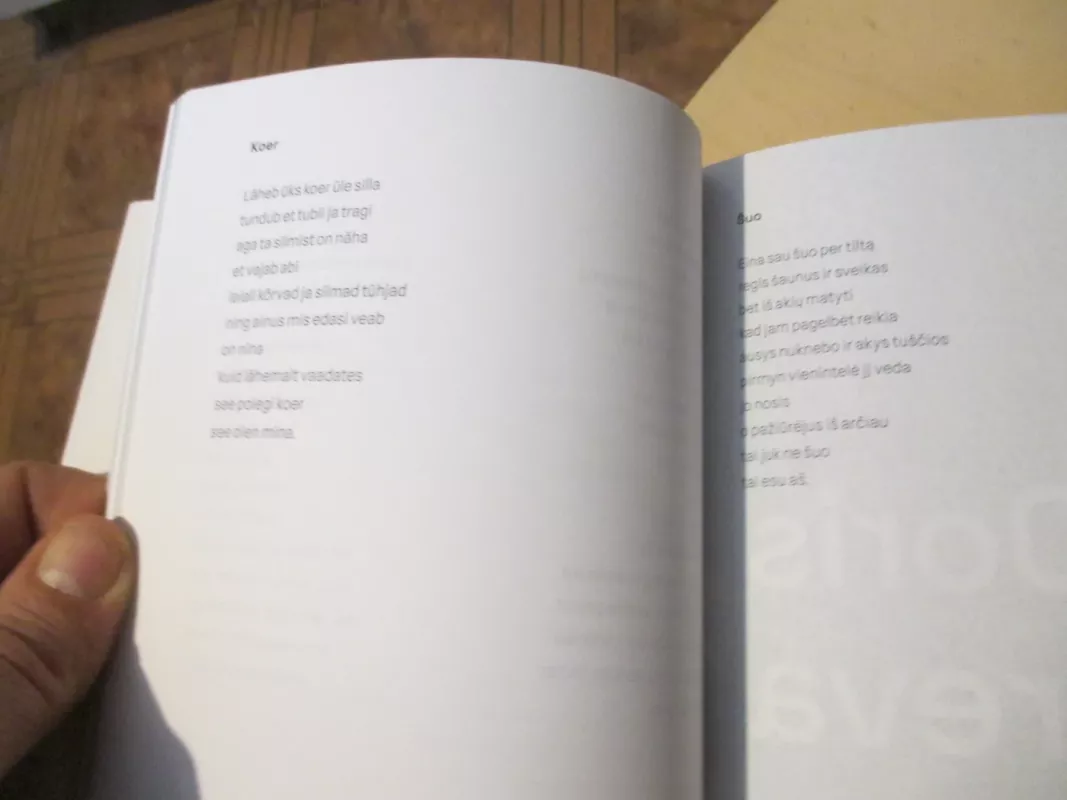 Šviesa šiaurinė. Põhjamaa valgus - Danutė Sirijos Giraitė, knyga 6