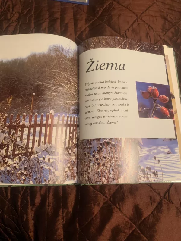 Žiniuonės užrašai - Gabrielė Bickel, knyga 4