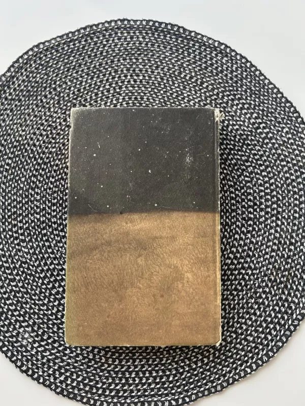 Žemė žmonių planeta - Antoine de Saint-Exupéry, knyga 5