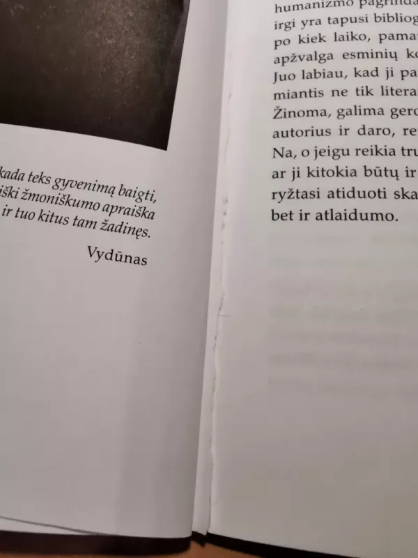 Vydūnas: trumpa biografija - Vacys Bagdonavičius, knyga 4