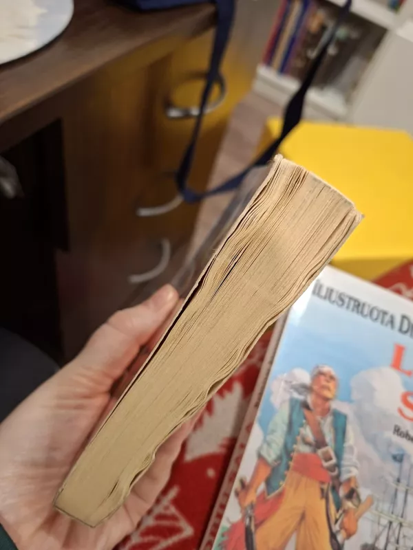 Robinzonas Kruzas - D. Defo, knyga 3