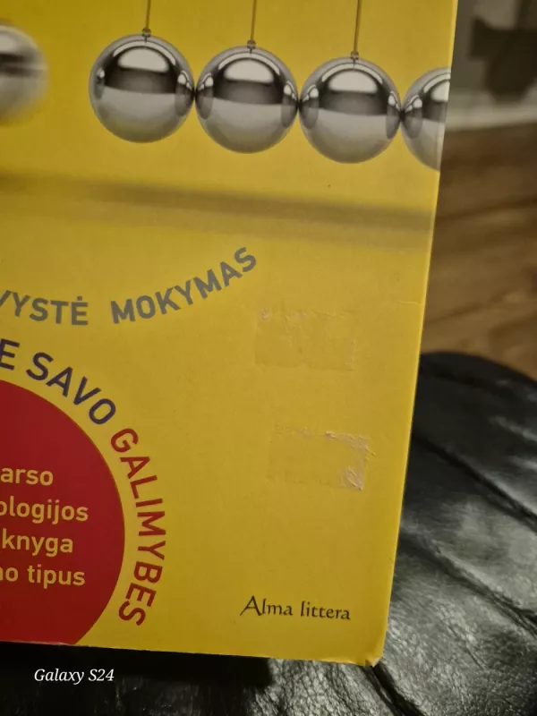 Tu gali: atskleiskite savo galimybes - Carol S. Dweck, knyga 6