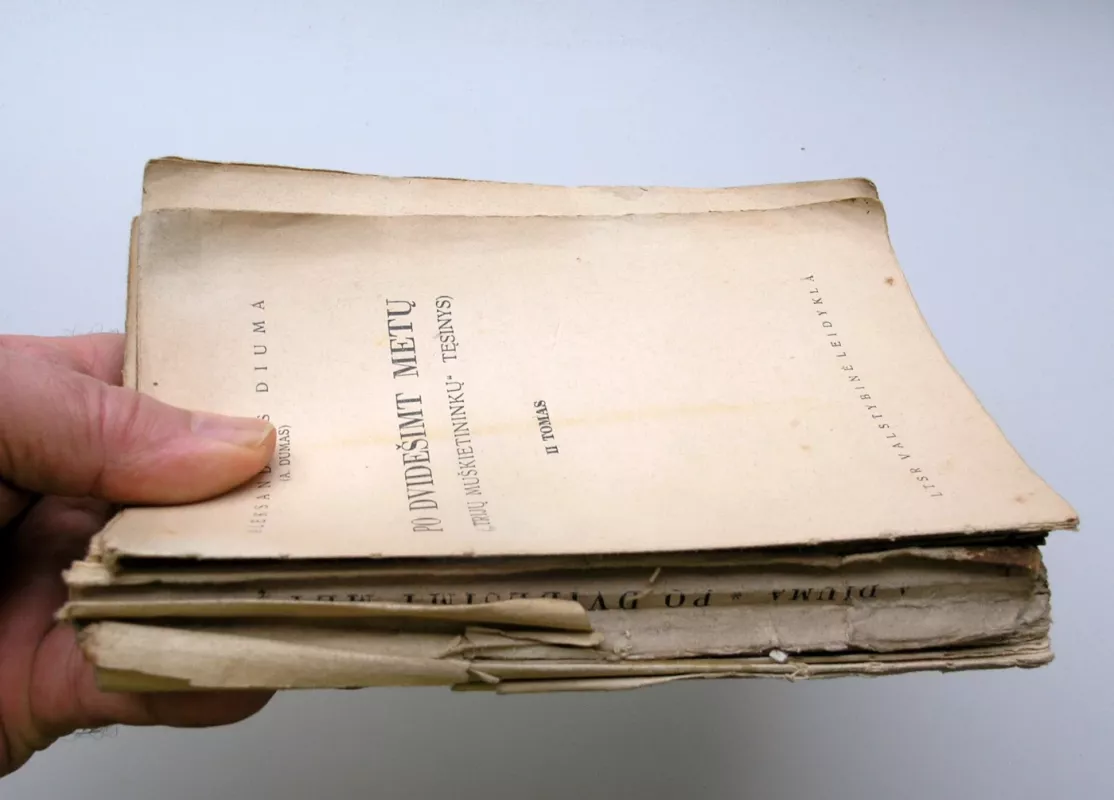 Po dvidešimt metų - Aleksandras Diuma, knyga 4