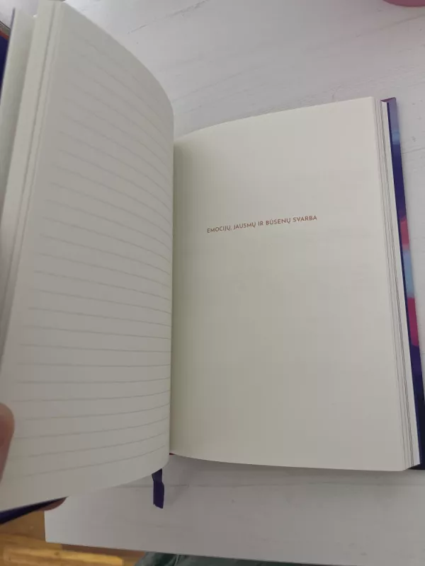 Manifestacijų dienoraštis - Dovilė Švedaitė, knyga 4