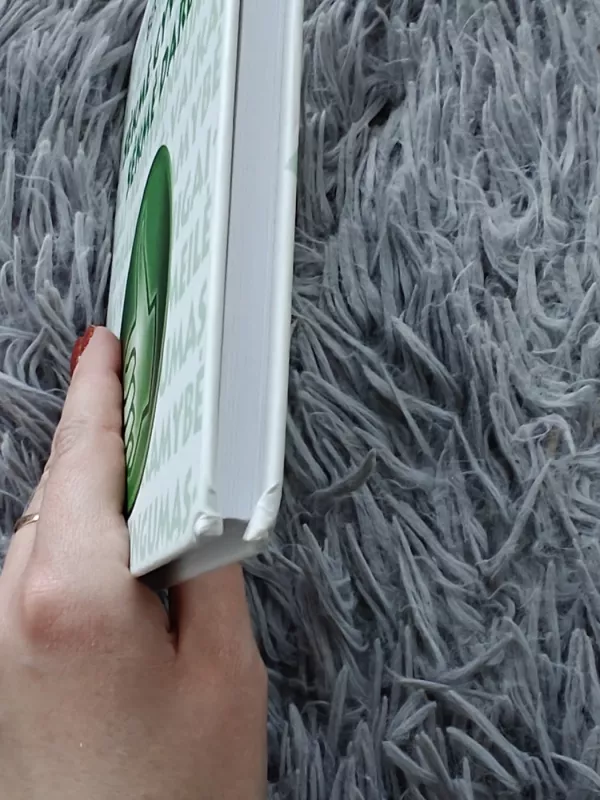 Sėkmė gyvenime, sėkmė darbe - Bert Hellinger, knyga 3