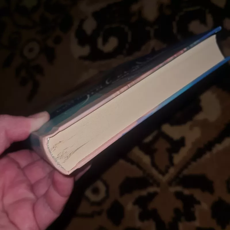 Moteris, kuri norejo pakeisti savo gyvenima - Carole- Anne Eschenazi, knyga 3