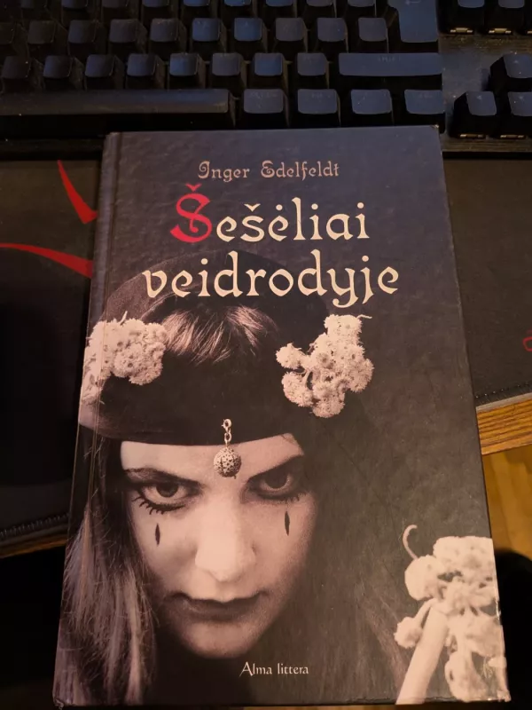 Šešėliai veidrodyje - Inger Edelfeldt, knyga 2