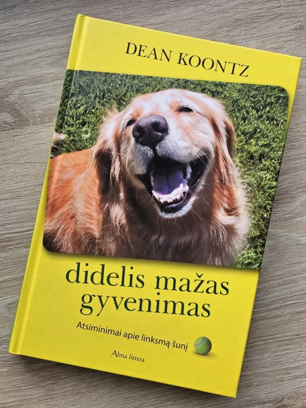 Didelis mažas gyvenimas - Dean Koontz, knyga 2