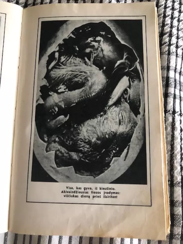 Įdomioji biologija 1972 - Igoris Akimuškinas, knyga 5