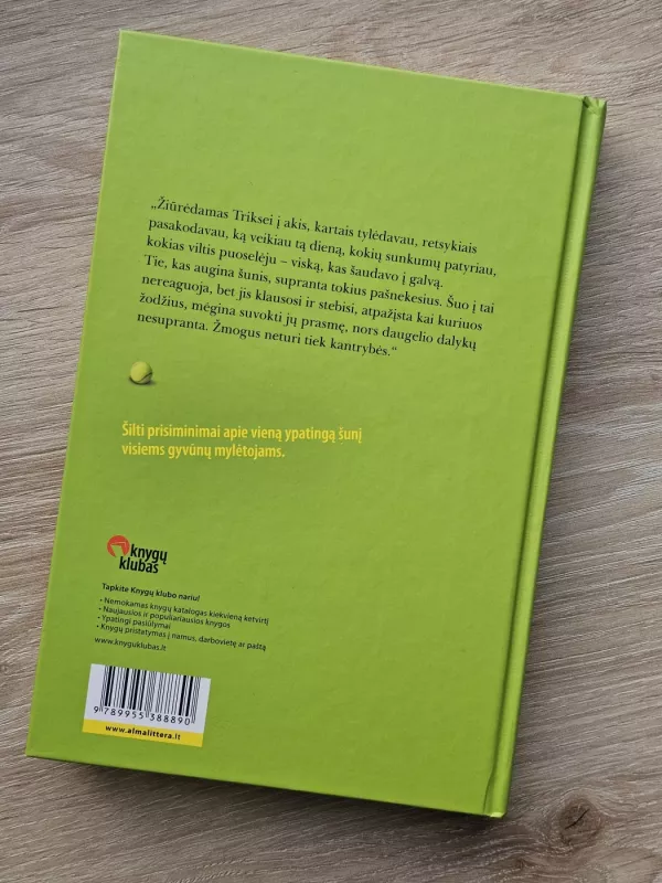 Didelis mažas gyvenimas - Dean Koontz, knyga 3