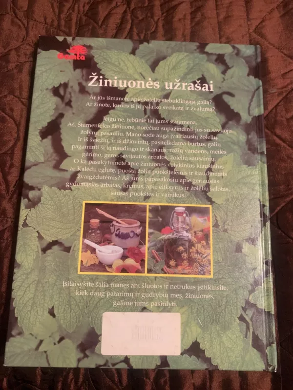 Žiniuonės užrašai - Gabrielė Bickel, knyga 3