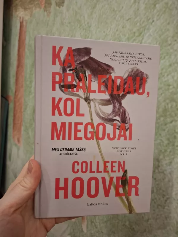 Ką praleidau, kol miegojai - Colleen Hoover, knyga 2