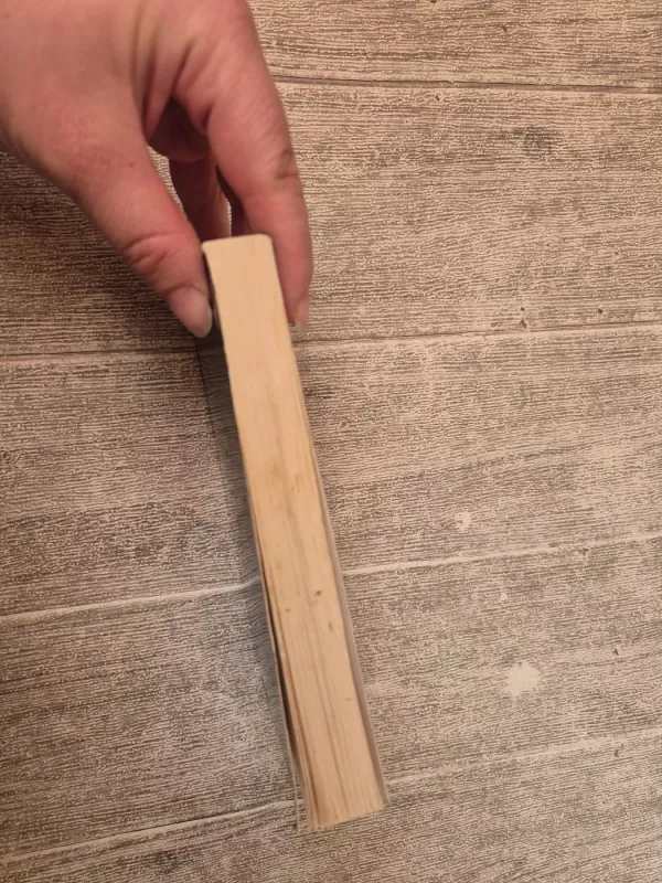 Paryžiaus splinas - Šarlis Bodleras, knyga 3