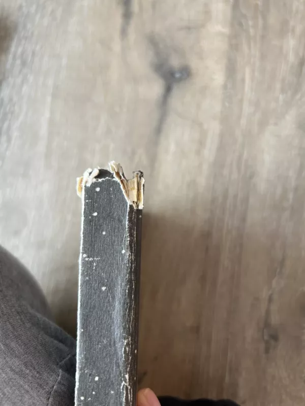 Žemė žmonių planeta - Antoine de Saint-Exupéry, knyga 4