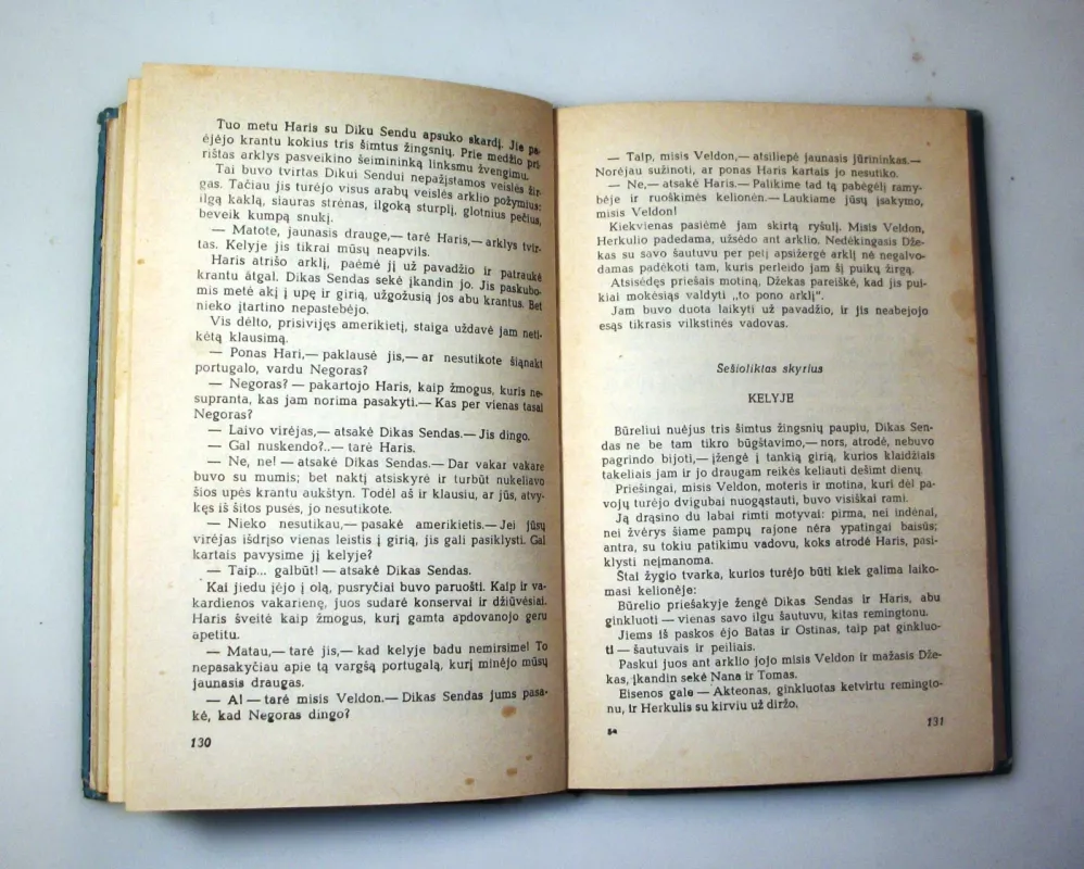 Penkiolikos metų kapitonas - Žiulis Vernas, knyga 6