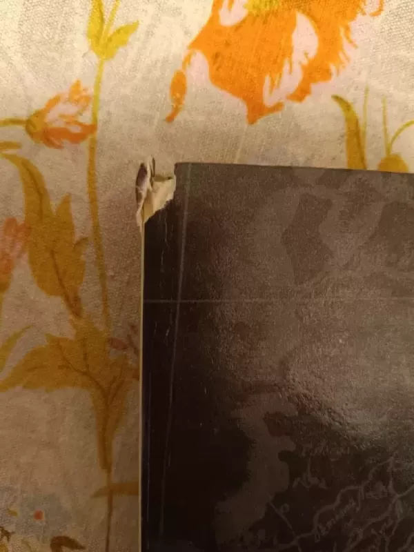 Žemaitijos istorija - A. Nikžentaitis, ir kiti , knyga 3