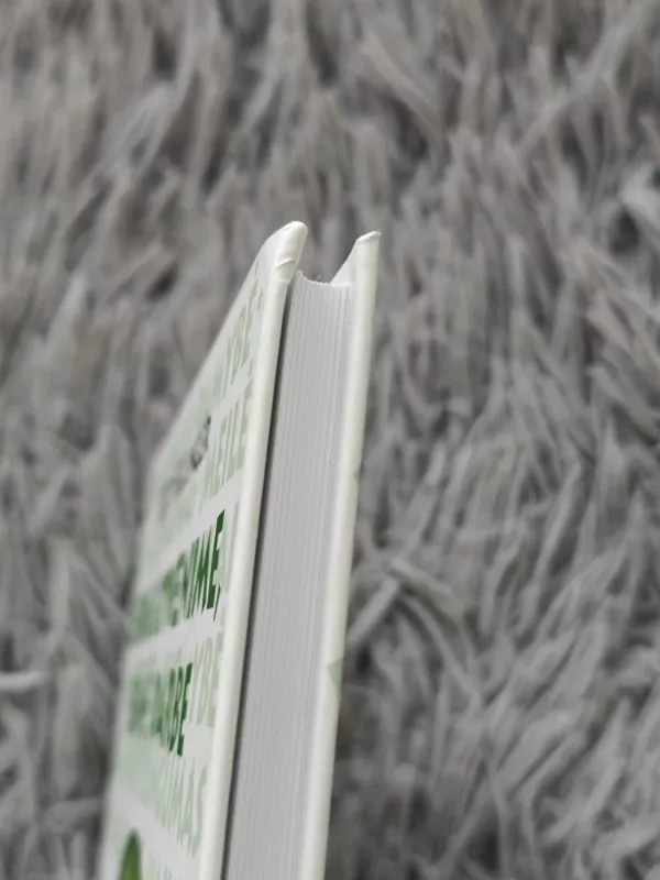 Sėkmė gyvenime, sėkmė darbe - Bert Hellinger, knyga 4