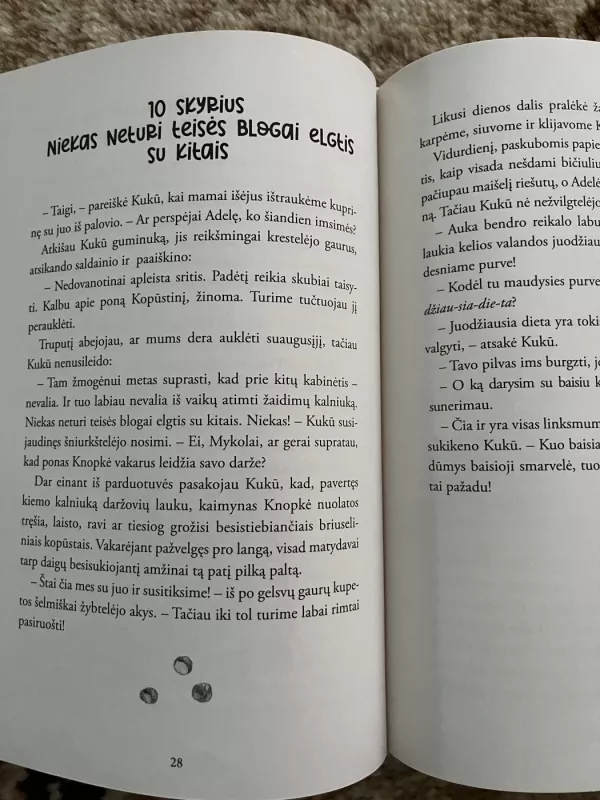 Kukū iš pašto dėžutės - Alvilė Rimaitė, knyga 4