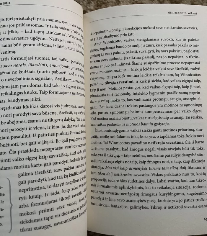 Žvilgsnis iš veidrodžio - Eugenijus Laurinaitis, knyga 4