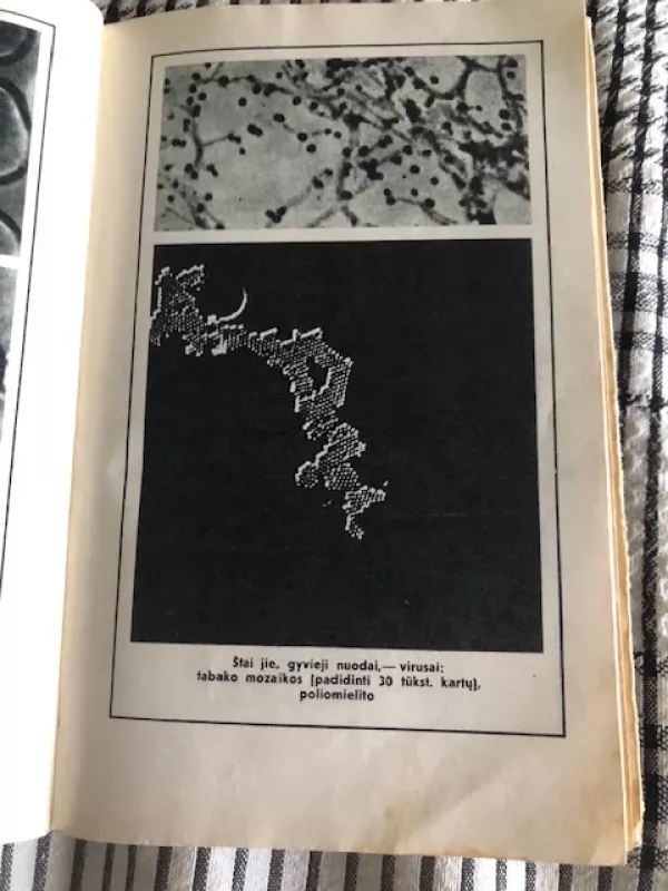 Įdomioji biologija 1972 - Igoris Akimuškinas, knyga 6