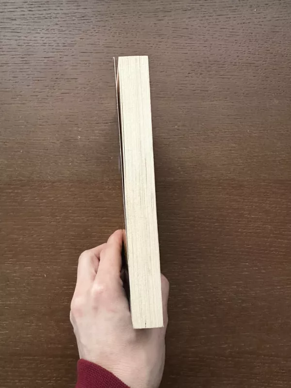 Realybės lėmėjas - Vadim Zeland, knyga 3