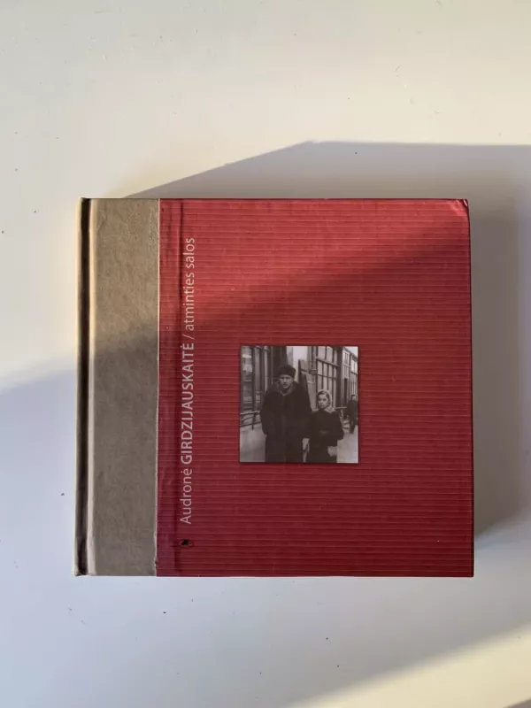 Atminties salos. Atsiminimai - Audronė Girdzijauskaitė, knyga 2