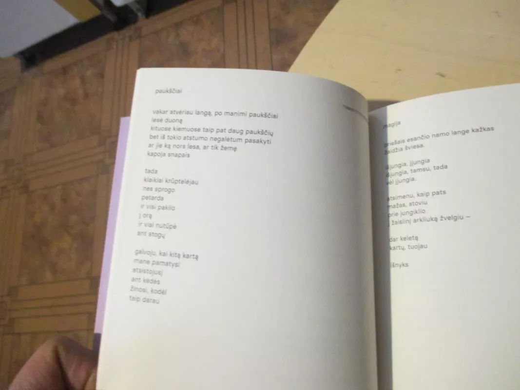 sms gėlytė - Nojus saulytis, knyga 6