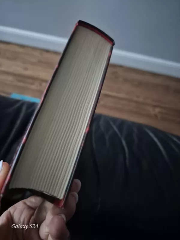 Bėganti ugnis - Gutje Alicia, knyga 6