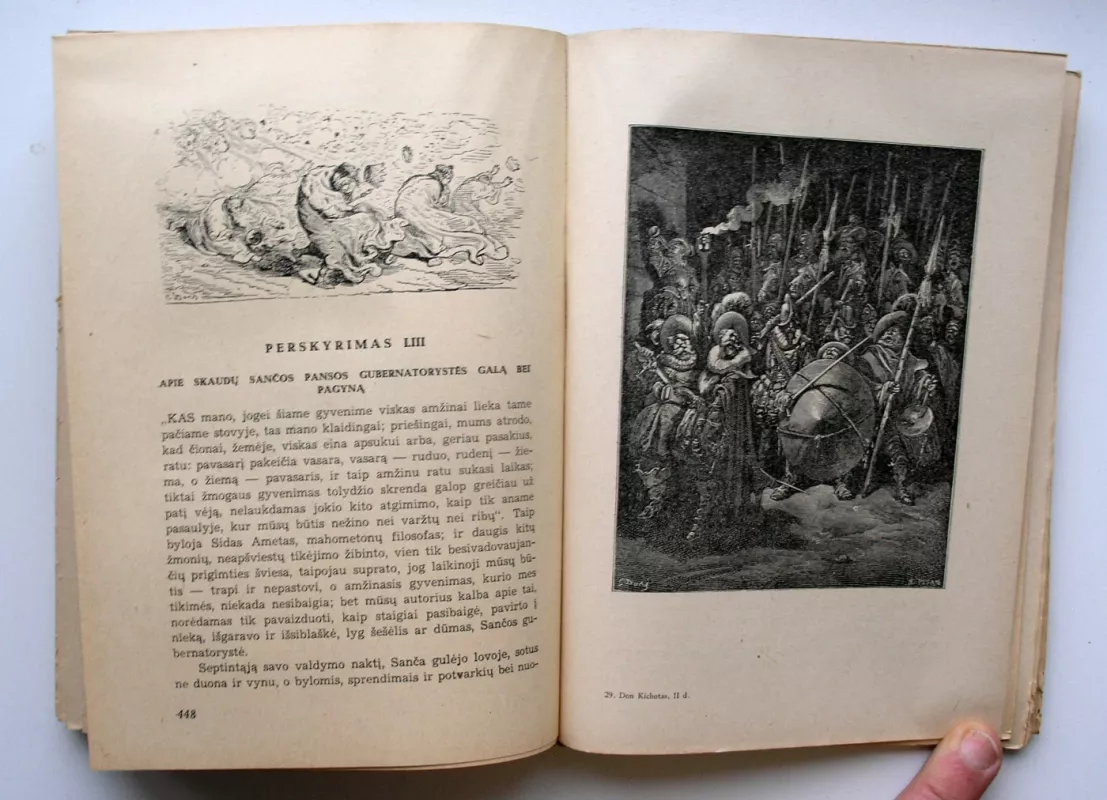 Don Kichotas - Miguel de Cervantes Saavedra, knyga 6