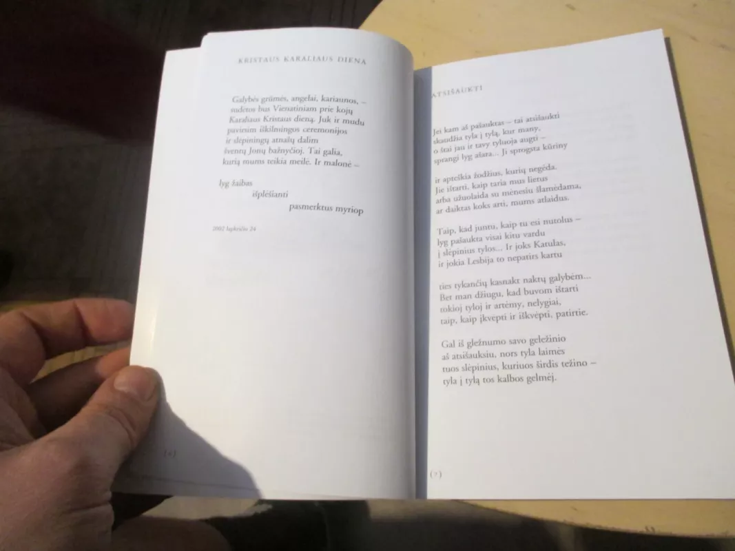 Angelų grumtynės - Arvydas Genys, knyga 5