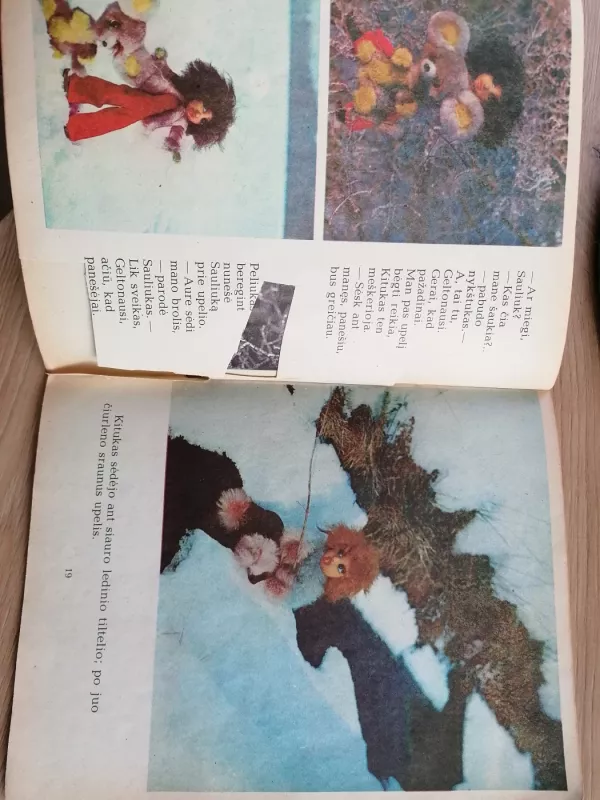 Broliukai nykštukai - Stasė Samulevičienė, knyga 5