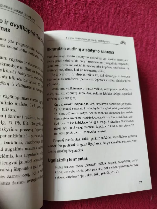 Nemirtingumas pagal Bolotovą - Borisas Bolotovas, knyga 4