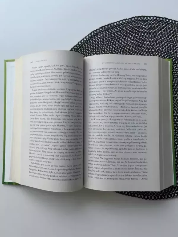 Sidro namų taisyklės - John Irving, knyga 3