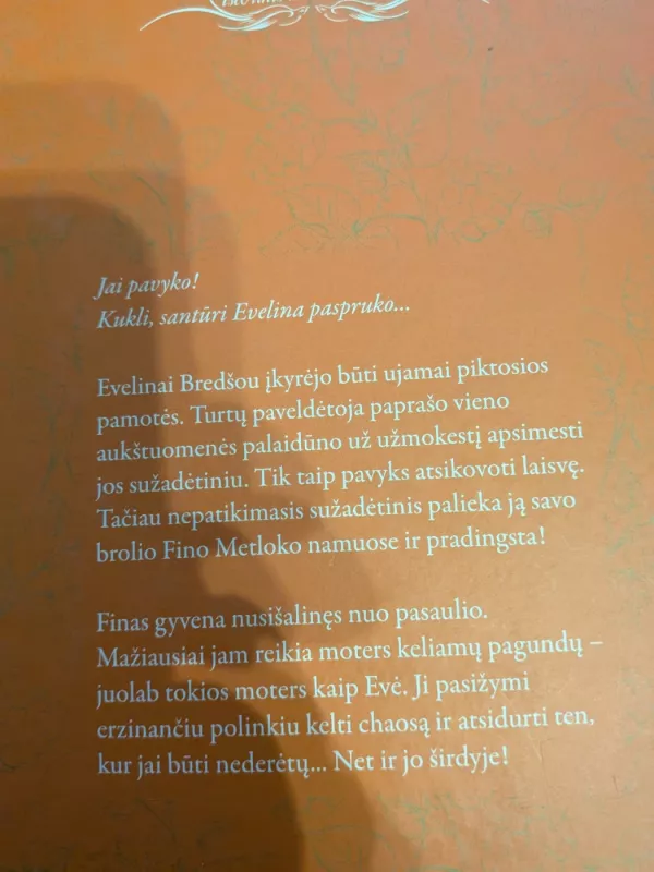 Ak, ta panelė Bredšou! - Virginia Heath, knyga 3