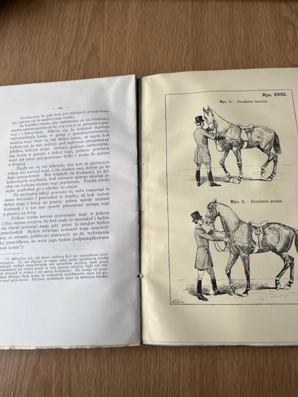 Sasady ujeżdżania i jazdy konnej - James Fillis, knyga 4