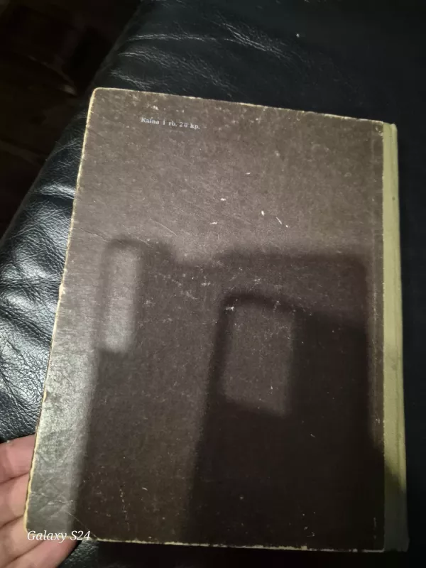 Kepiniai - E. Binkauskienė, knyga 3