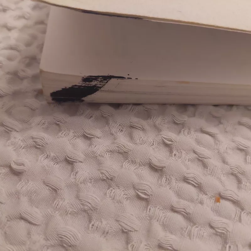 Šventybė ir pasaulietiškumas - Mircea Eliade, knyga 3