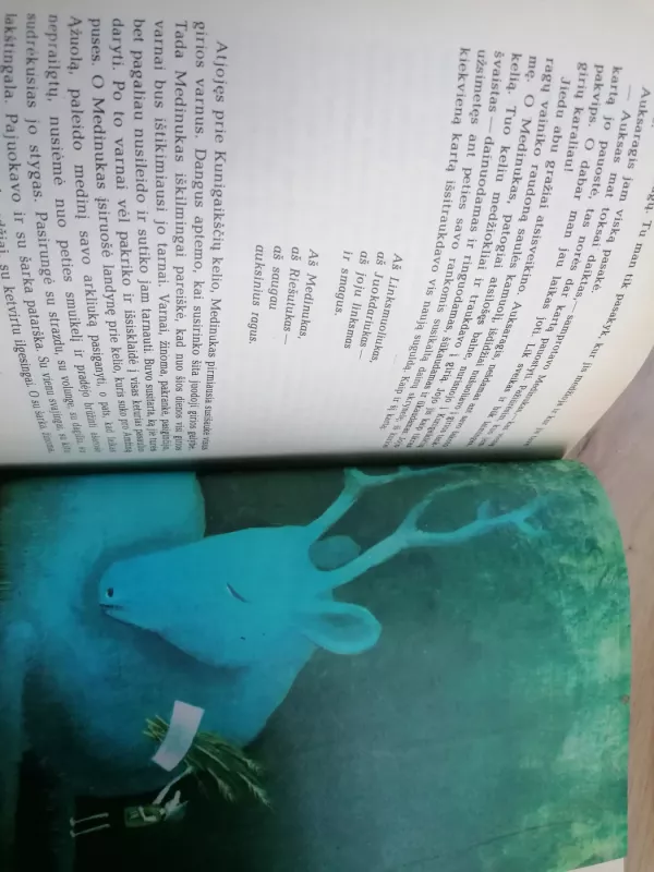 Miško pasaka - Eduardas Mieželaitis, knyga 5