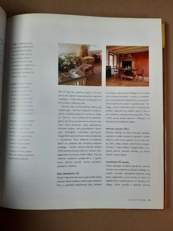 Sveiki namai - Gina Lazenby, knyga 6