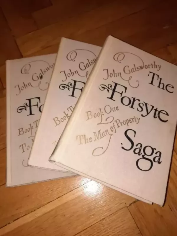 The Forsyte Saga, 1-2-3 novels - John Galsworthy, knyga 2
