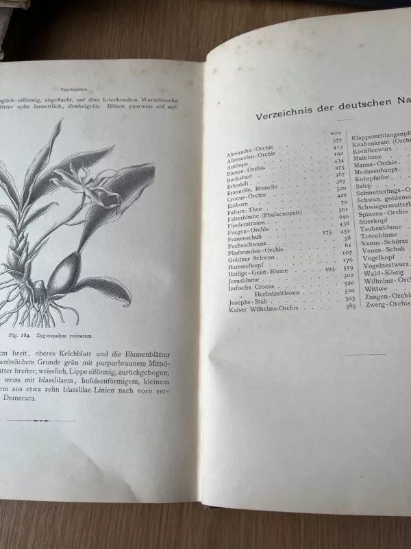 Orchideenbuch - Stein’s, knyga 5