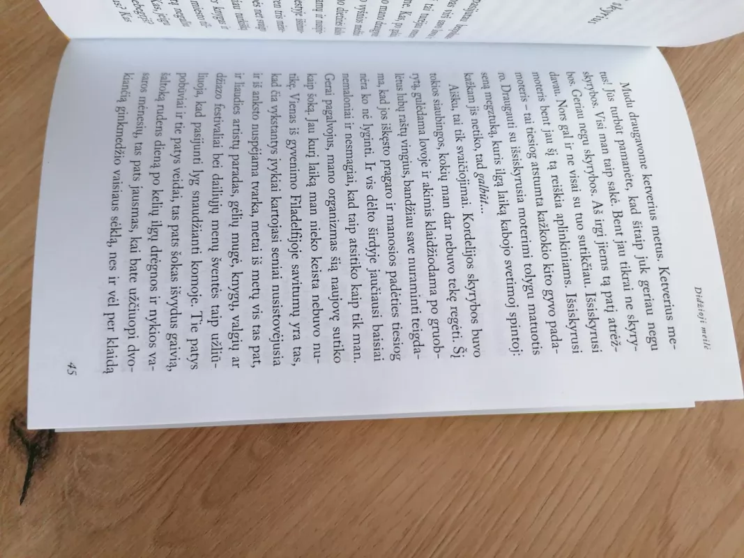 Didžioji meilė - Sarah Dunn, knyga 5