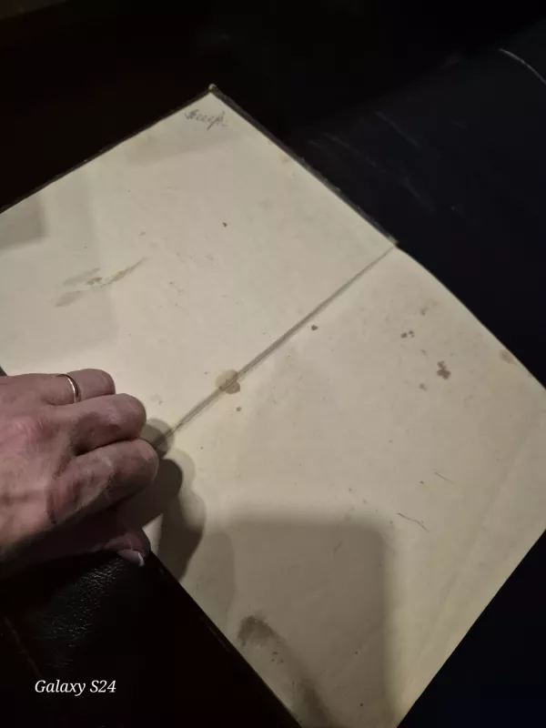 Kepiniai - E. Binkauskienė, knyga 6