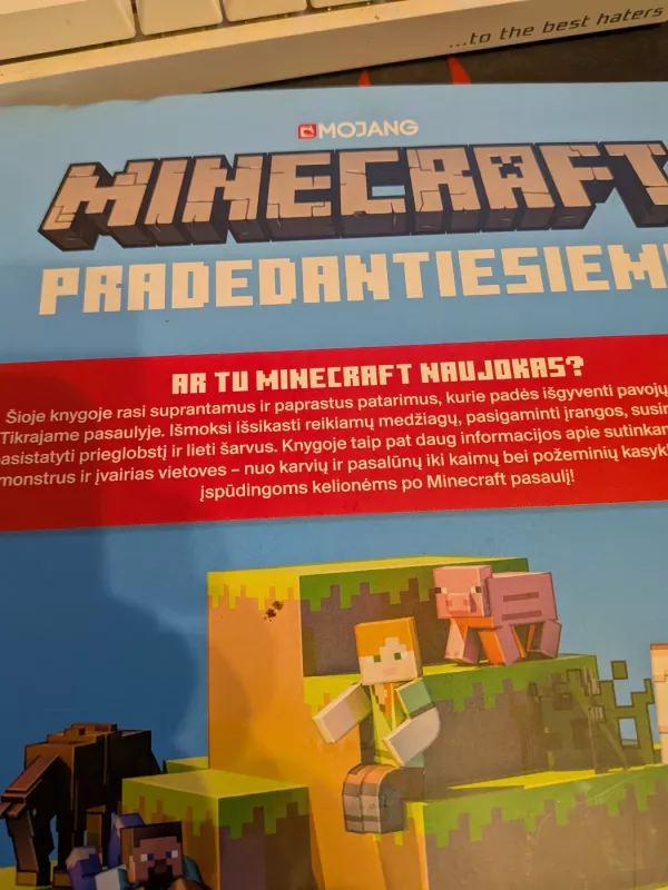 Minecraft pradedantiesiems. Nuoseklūs išgyvenimo patarimai - Autorių grupė, knyga 2