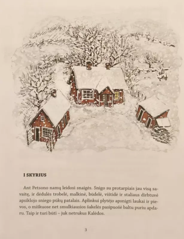 Kalėdų senelio staigmena - Sven Nordqvist, knyga 4