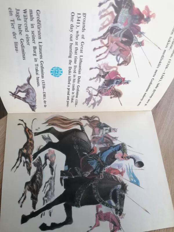 Gedimino sapnas - Dainius Juozėnas, knyga 6